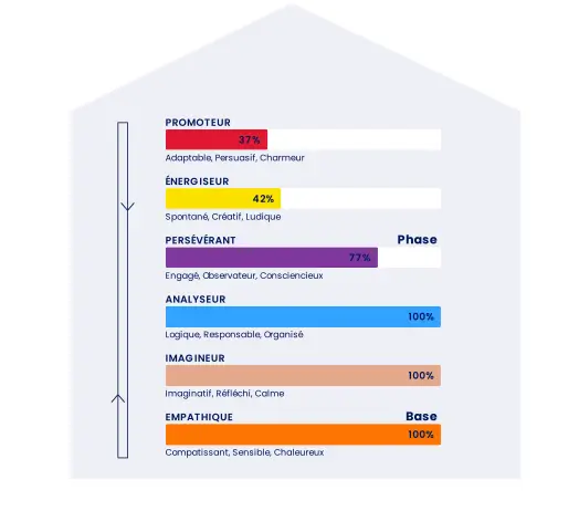 Profil psychologique détaillé dans un graphique en forme de maison